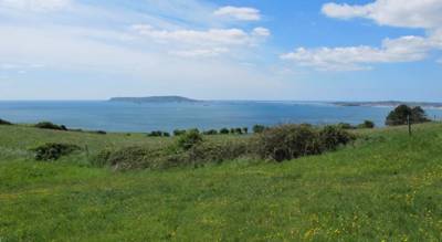 A simple summer campsite 10 minutes walk from the beach and bordered by one of the most scenic stretches of Dorset&#39;s coastal path.