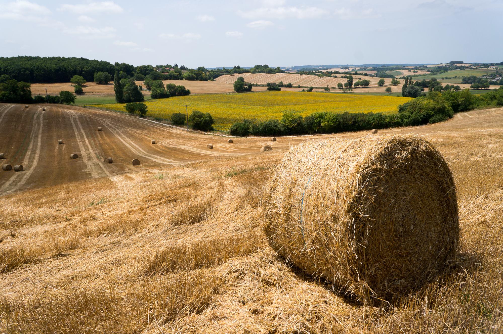 Campsites in Nouvelle Aquitaine | Best Nouvelle Aquitaine camping sites