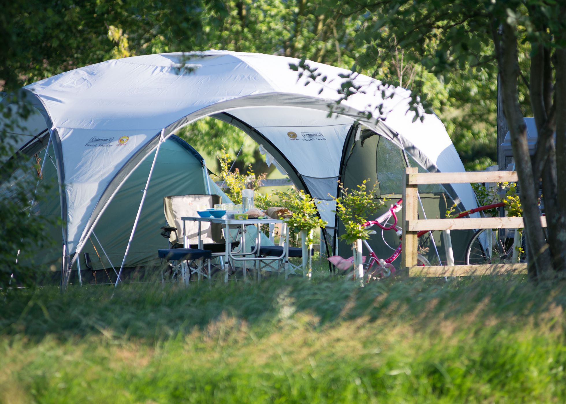 Standard Grass Tent Pitch + hook up 10 at Ninham Country Holidays