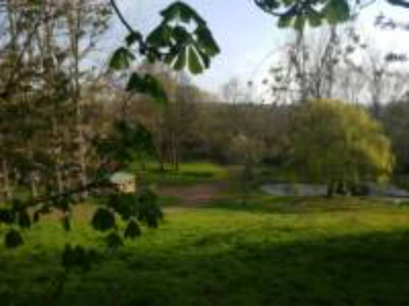 Tilia Bell Tent   (Dog Friendly)