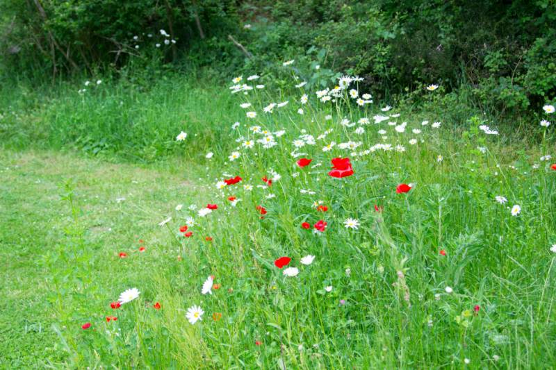 Luna Bell Tent 6m double bed grassland