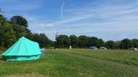 Grass Pitch