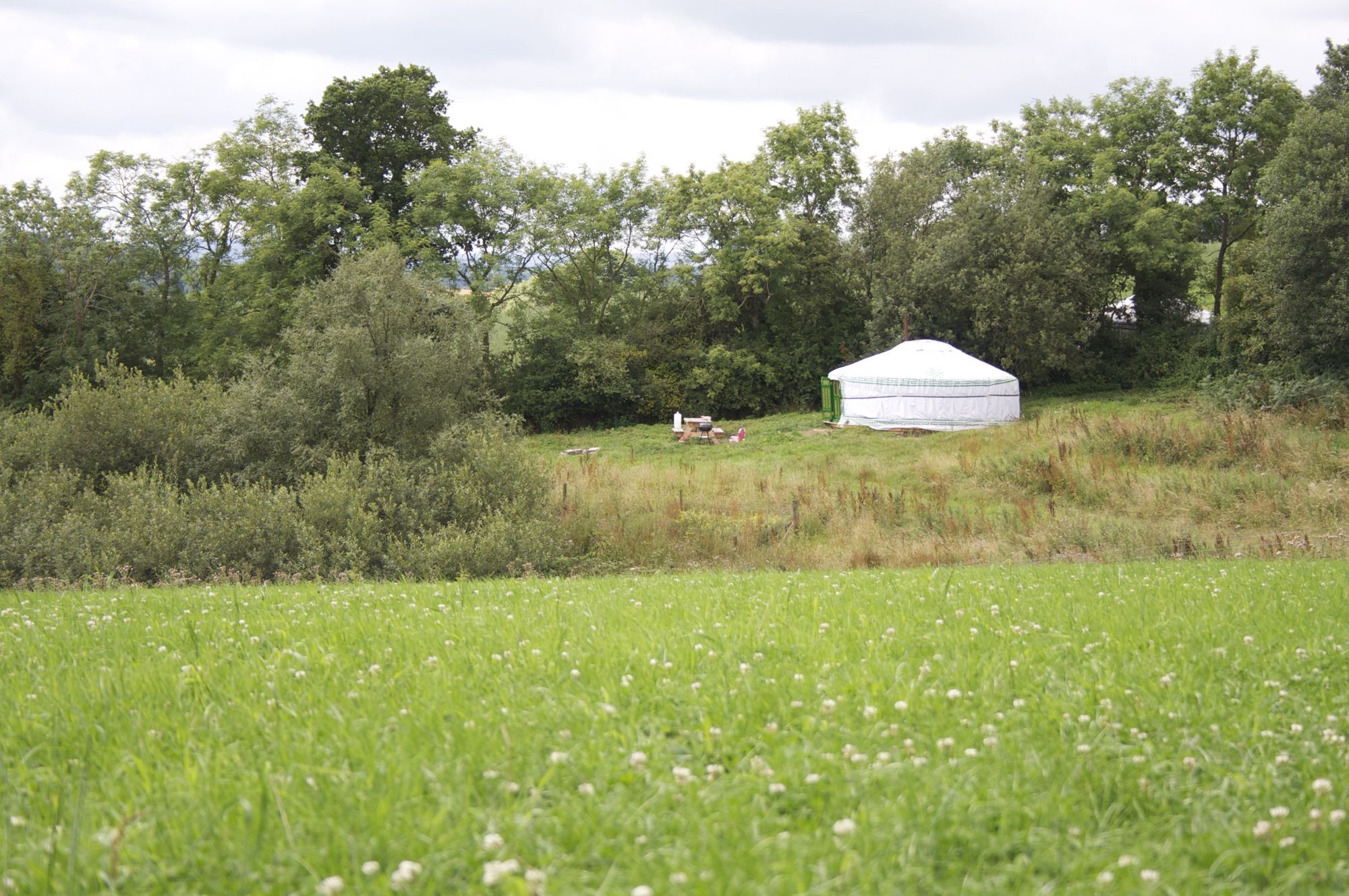 Glamping in Dartmoor – The best glampsites in the national park