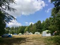 Woodland Meadow Pitch