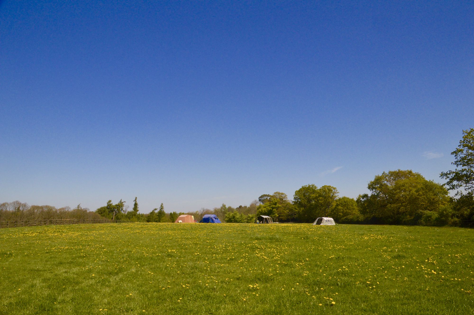 Campsites in Petworth – Cool Camping