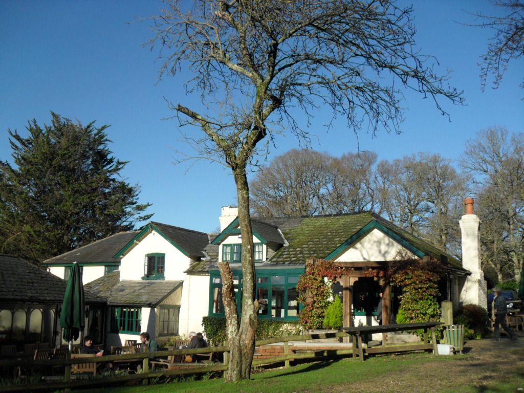 High Corner Inn Dog Friendly High Corner Inn Dog Friendly