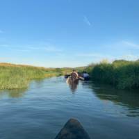 Riverside Hire