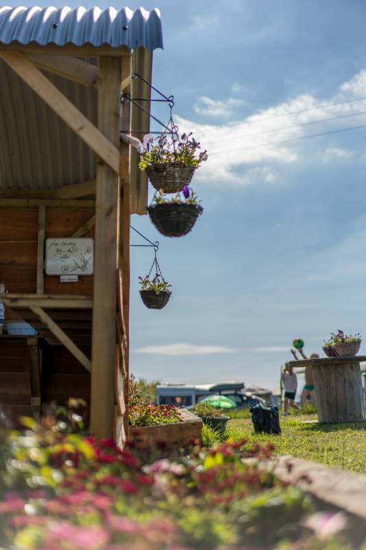 NonElectric Standard Grass Pitch