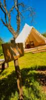 Nettle Bell Tent
