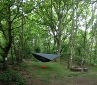 Wills Pitch