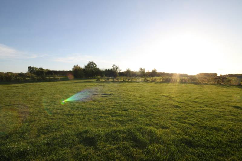 Grass electric pitch A8