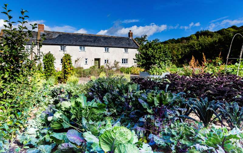 River Cottage, Dorset | Cool Places