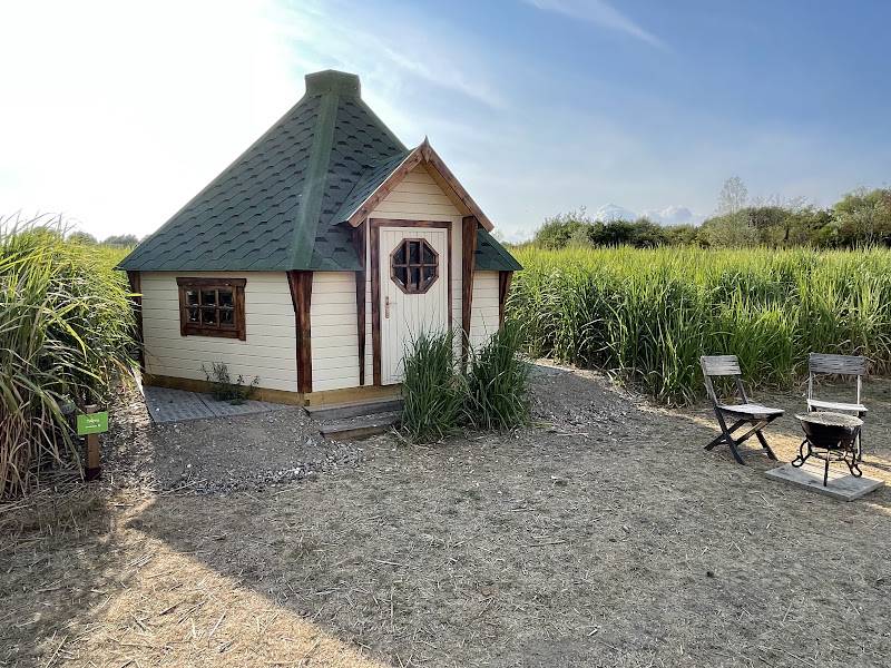 Tawny Owl Hobbit Cottage