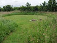 Standard Grass Pitch