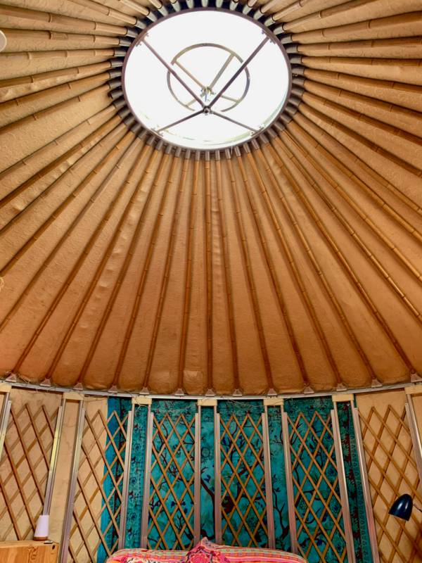 Ty Crwn Bach Idris - Yurt