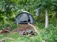 4m x 2.5m Small woodland pitch No. 1