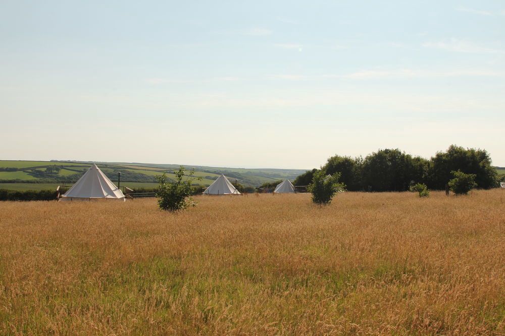 Bell Tents in Devon – The best bell tent holidays in Devon