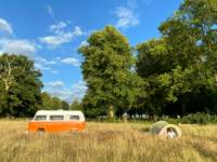 Grass Pitch