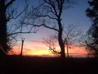 Orchard Bell tent