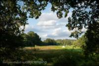 Wild camp pitch - up to 4 people