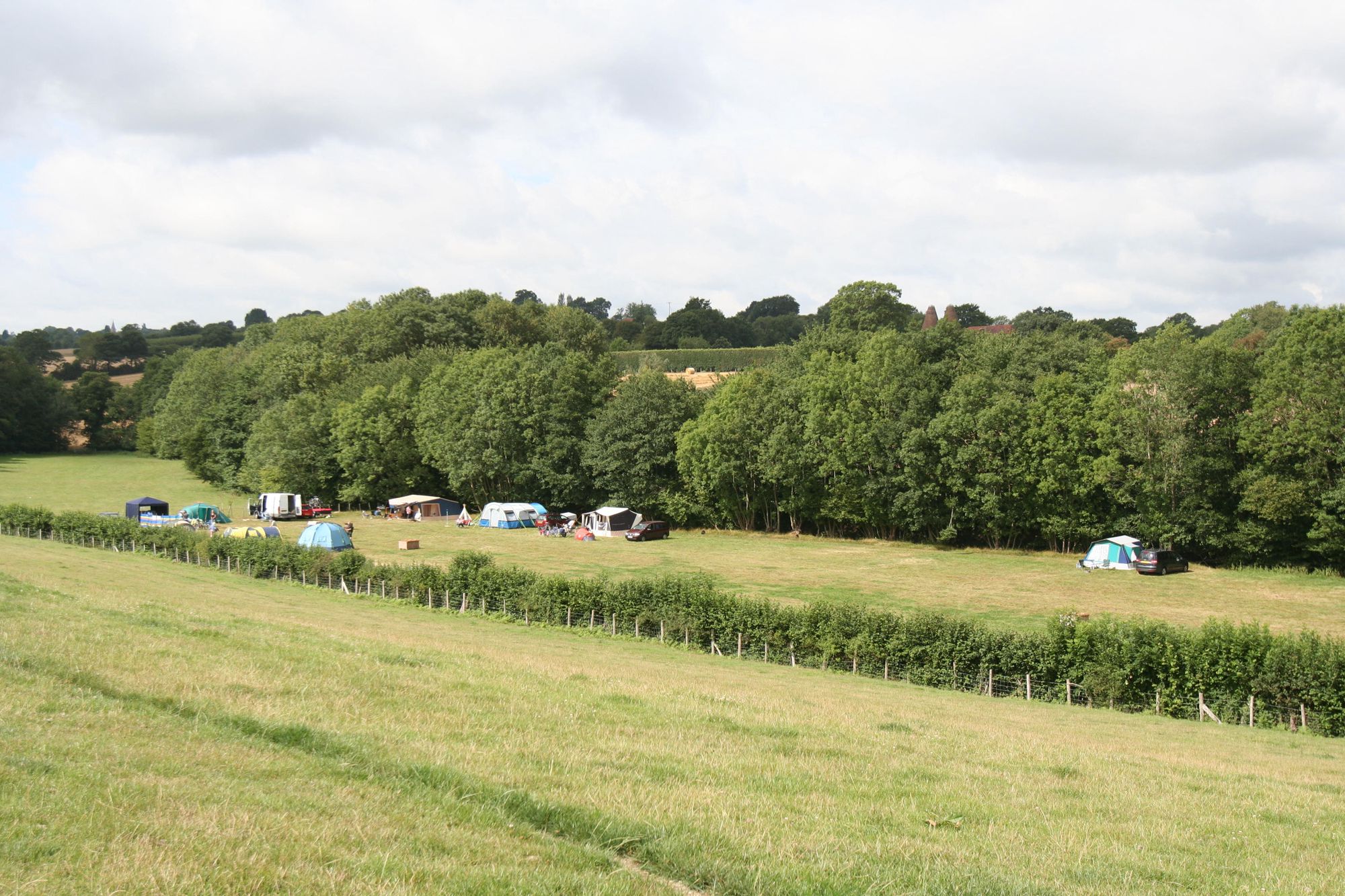 Bedgebury Camping, Kent
