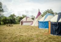 Pilton Yurt Camps- Gordon's Field East