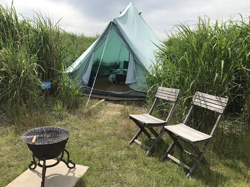Oyster Catcher Bell Tent