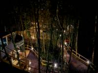 The Tree Tops @ The Secret Garden Glamping
