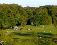 Non Electric Camping Pitch