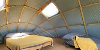 The Gridshell