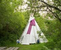 Doos - Medium Tipi - Private Site