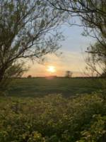 Burrington Tipi