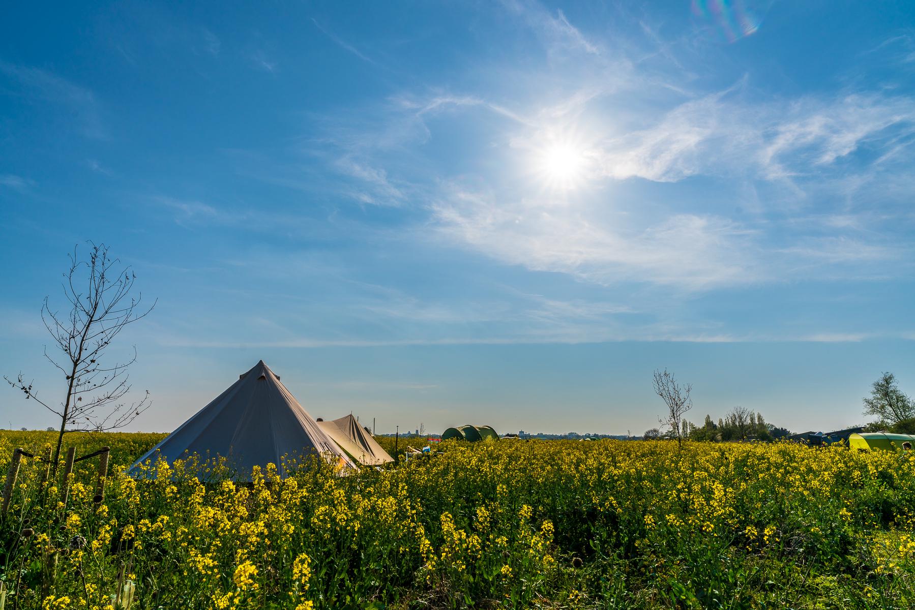 Glamping in UK holidays at I Love This Campsite