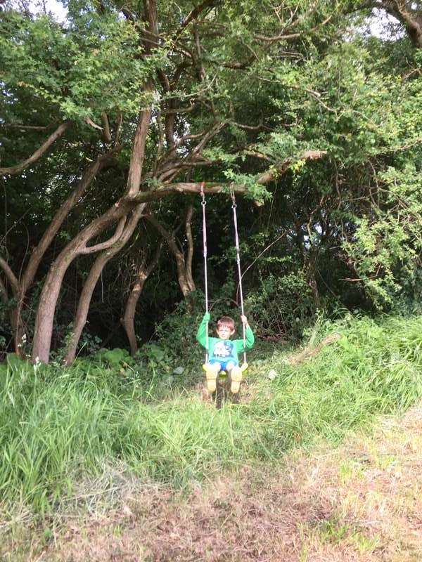 Campsite 2 - Open meadow grass pitch
