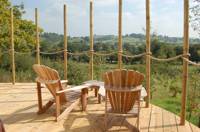 Birch Yurt
