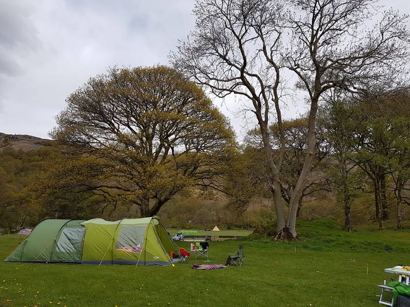 Medium Tent Grass Pitch (NO ELECTRIC HOOK UP)