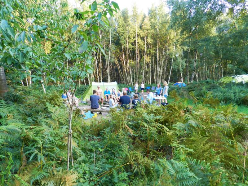 Group Forest Tent Pitch