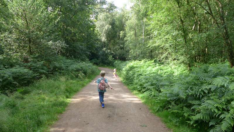 Sussex Holidays – Accommodation and Places to Stay in Sussex I Cool Places