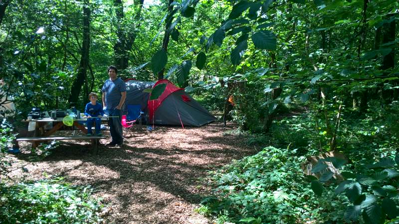Bracken Woodland Pitch