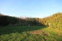 Grass electric pitch A1