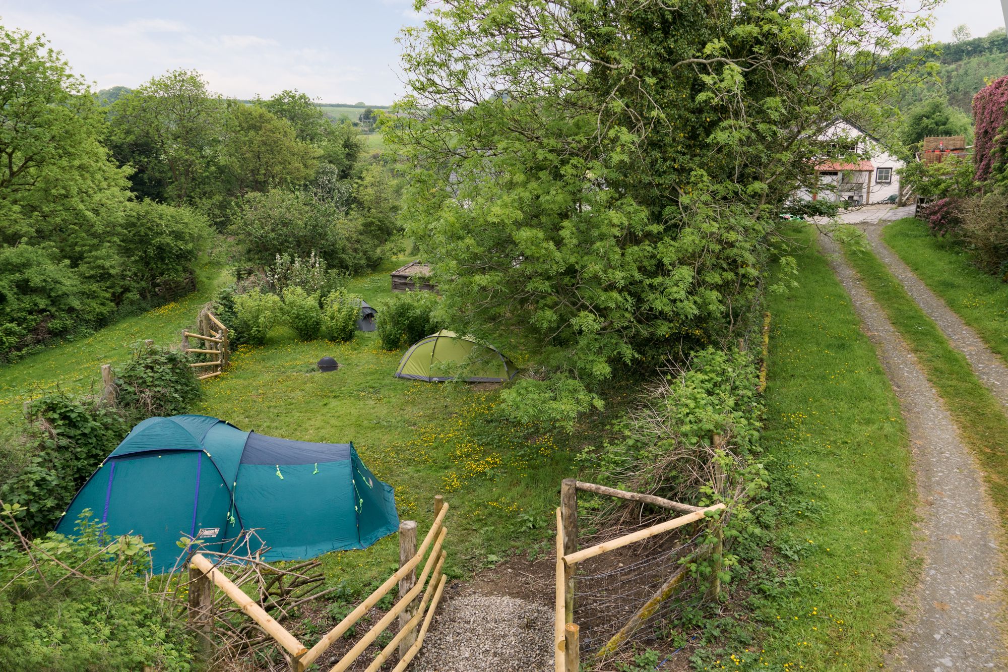 Campsites in Coed-y-Bryn – Glampingly
