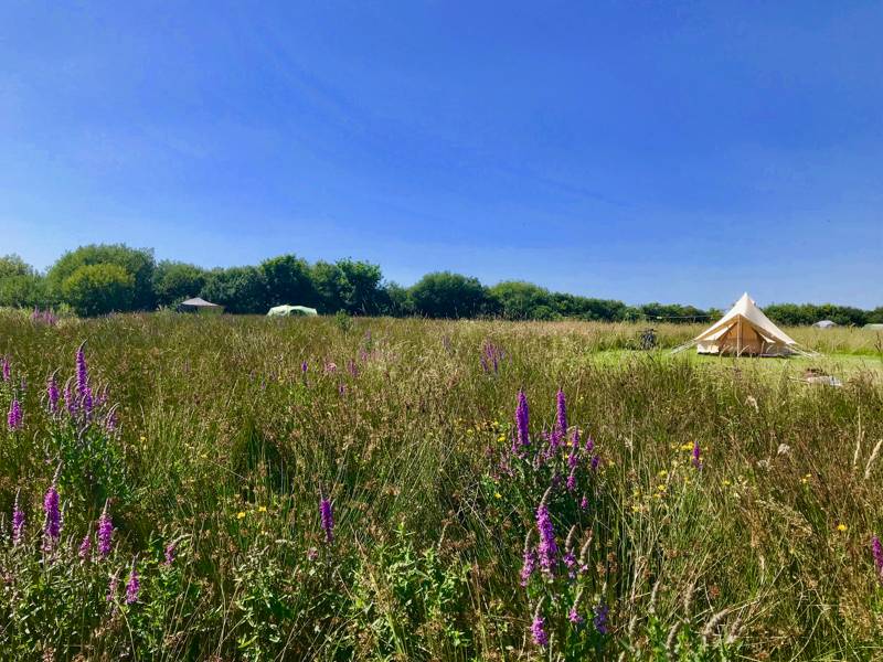 Walton West Campsite Lower Foxhill, Walton West, Little Haven, Pembrokeshire SA62 3UA