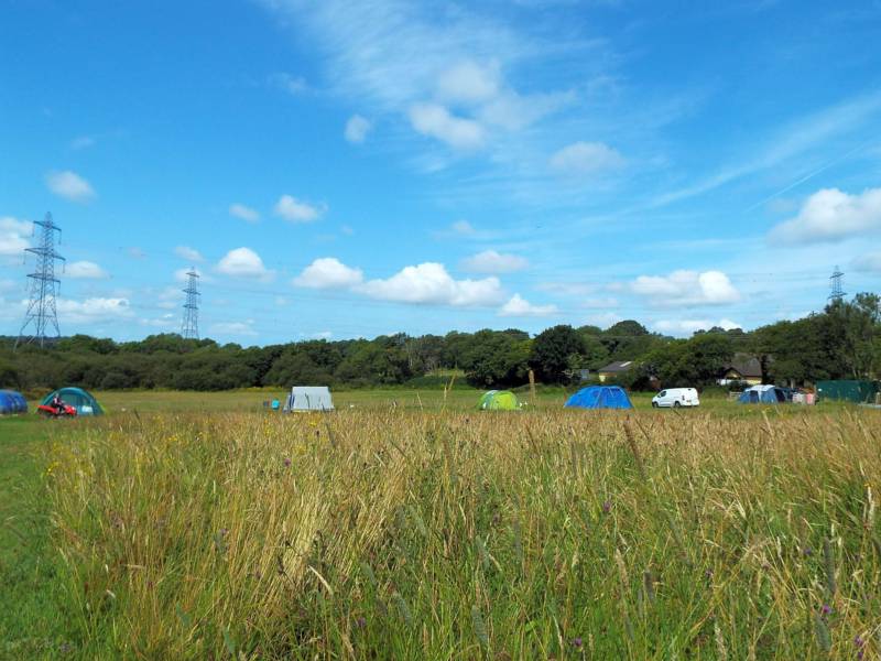 Electric Grass Pitch