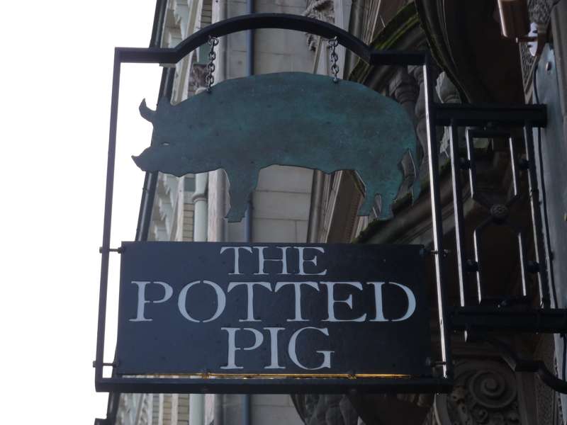 The Potted Pig