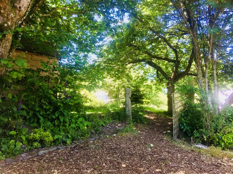 Wild Rose Vintage Caravan