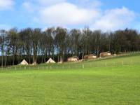 The Owl- Luxury Timber Pod