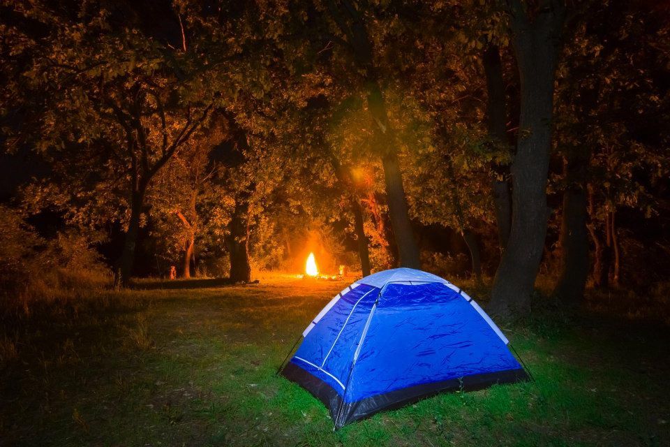 Campsites in Worthing holidays at I Love This Campsite