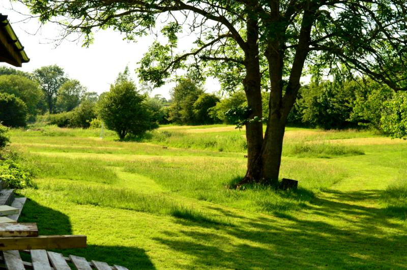 Tent Pitch with fire pit - Brock