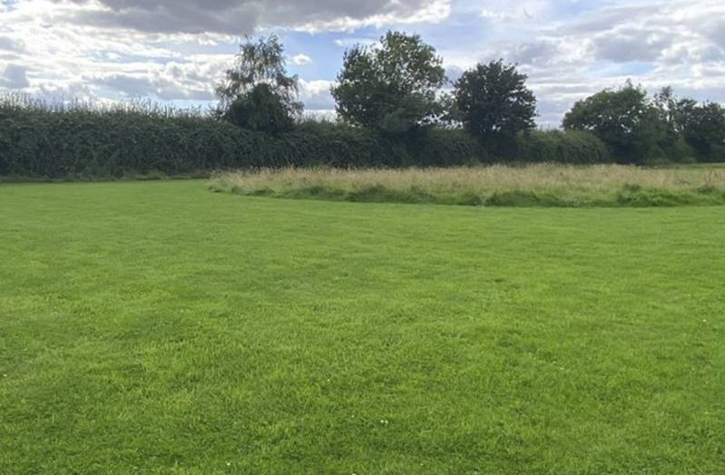 Grass Pitch