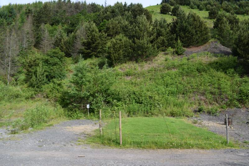 Pitch 8 - Campervans Only! 🚐🚐